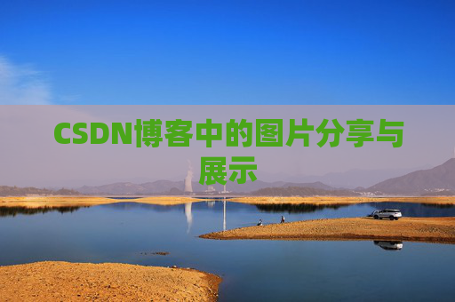 CSDN博客中的图片分享与展示